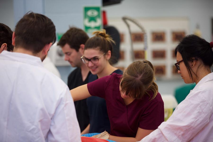 Graduate students working on a dissection in the anatomy lab.